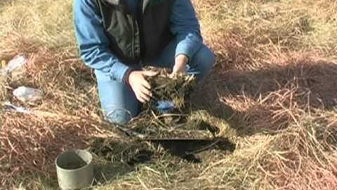 Soil Health Study: Grazing Management and Infiltration (6:10)