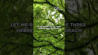 The TRUTH No One Tells You About Christianity!