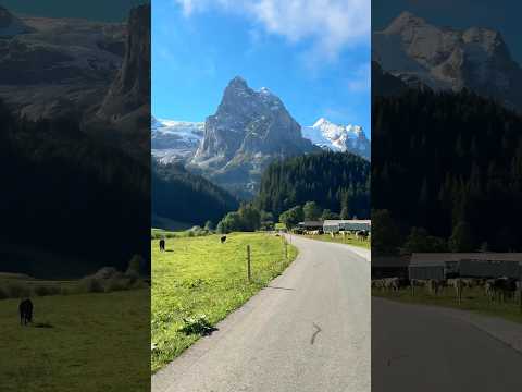 📍Rosenlaui, Switzerland🇨🇭Follow for