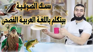 سمك الصوفية يتكلم باللغة العربية الفصحى
