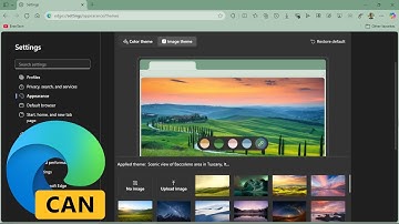 Microsoft Could Change How You Customize Your Browser: Edge Settings WebUI 2 Makeover!