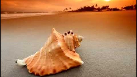 روائع التلاوات عبدالرحمن السلمي الزمر الاية 68