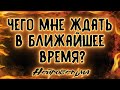 Чего мне ждать в ближайшее время? | К чему готовиться? | Таро онлайн | Расклад Таро | Гадание Онлайн