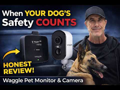 Can I Trust This Safety Monitor For My Dog?  Does It Work?  Full Review