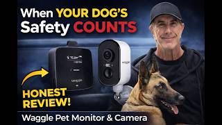 Can I Trust This Safety Monitor For My Dog?  Does It Work?  Full Review