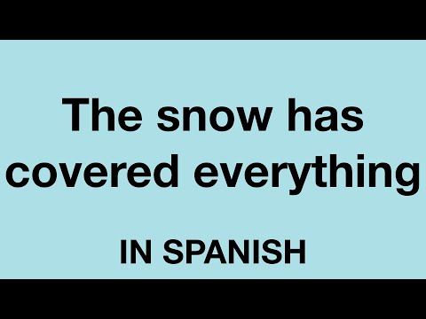 How To Say (The snow has covered everything) In Spanish