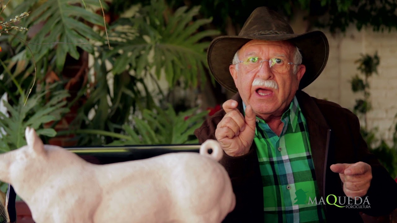 Tip 140.   Detección del Celo ya para Inseminar