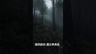 光裡的愛語 Words of Light(精簡版)~原創:林志峰 #shorts