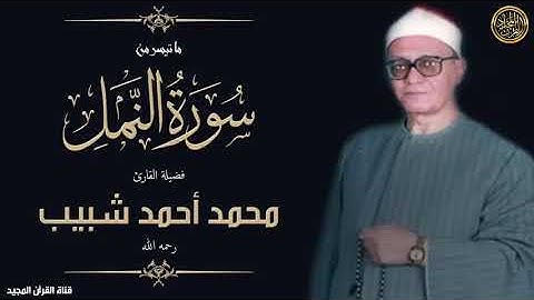 الشيخ محمد أحمد شبيب ما تيسر من سورة النمل