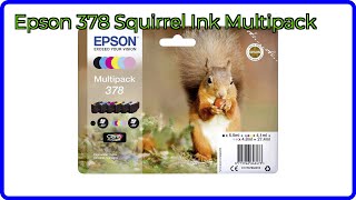 REVIEW (2026): Epson 378 Squirrel Ink Multipack. ESSENTIAL details.