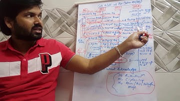 2G/GSM call flow(intra-MSC)|Niladri Nihar Nanda