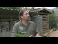 Galinheiro protege aves do ataque do lobo guará