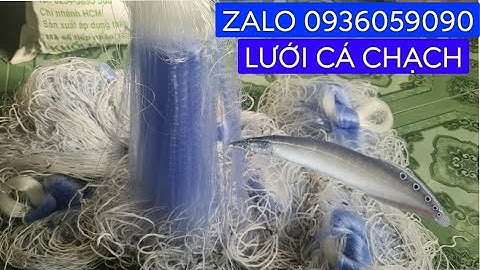 Bán lưới chuyên đánh cá chạch. Bán lưới giang cá chạch đồng. Bán lưới cá chạch lấu.