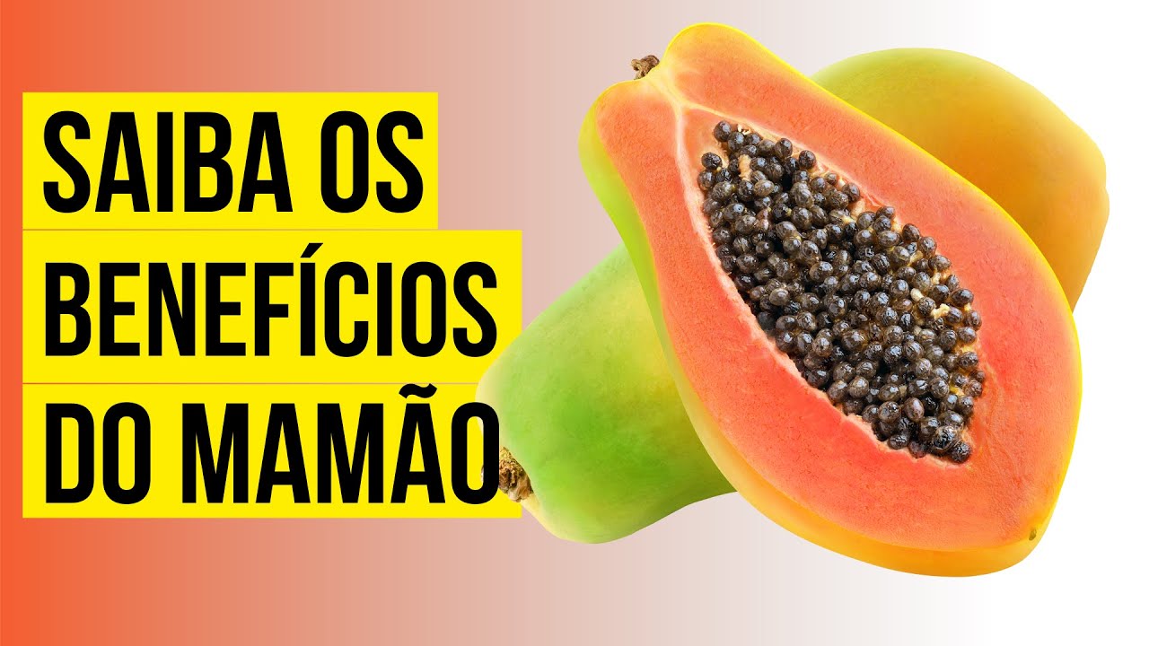 QUAIS OS BENEFÍCIOS MEDICINAIS DO MAMÃO? PARA QUE SERVE? - YouTube