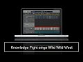 Wild wild west knowledge fight edition by dj danarchy