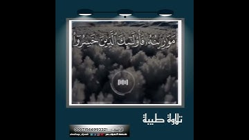 القارئ  ثامر الرشيد