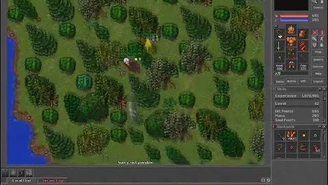 Tibia-Crusader Helmet Quest 2011