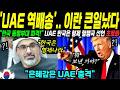 [해외감동사연] 천궁을 시작일뿐! UAE 건드린 이란, 한국산 UAE 혈맹 폭격에 패닉, 전세계 발칵 뒤집힌 이유 Mp3 Song
