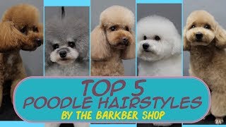 TOP 5 Poodle Hairstyles ( The Barkber Shop )