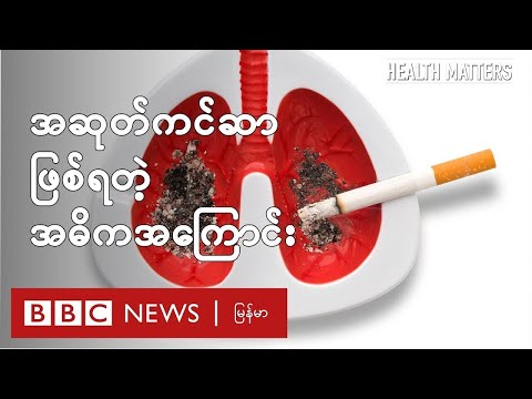 အဆုတ်ကင်ဆာ ဖြစ်ရတဲ့ အဓိကအကြောင်းရင်း - BBC News မြန်မာ