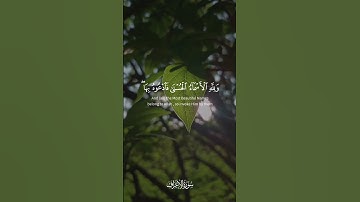 ولله الأسماء الحسنى فادعوه بها وذروا الذين يلحدون في أسمائه  [ الأعراف: 180] القارئ ياسر الدوسري