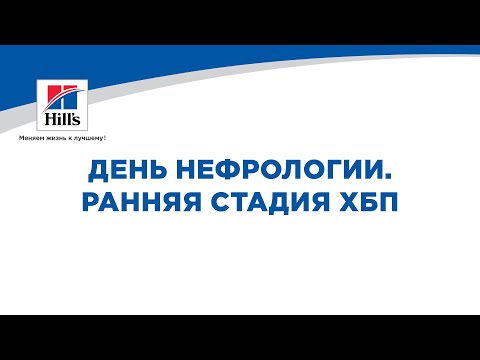 День ветеринарной нефрологии. Ранняя стадия ХБП.