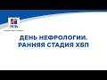 День ветеринарной нефрологии. Ранняя стадия ХБП.