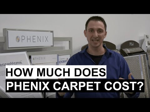 Video: Wie is de eigenaar van phenix-tapijt?