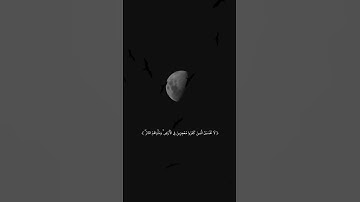 وأقيموا الصلاة وآتوا الزكاة وأطِيعُوا الرَّسُولَ لَعَلَّكُمْترحمون) #سورة_النور #ناصر_القطامي