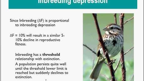 BIOL3468 Conservation Genetics 6  Inbreeding Problems