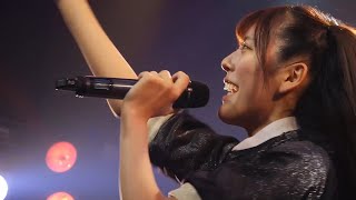 Mameshiba no Taigun - Winter WACK Live Festival (2023.12.17, Spotify O-WEST)