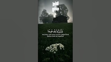 { ألم تر أن الله خلق السماوات والأرض بالحق }تلاوة تهز القلوب من سورة إبراهيم#ترند #سوره_ابراهيم#قران