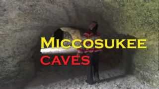Miccosukee Caves