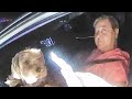 Dog Behind the Wheel? DUI Suspect Becomes Aggressive!