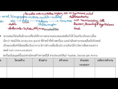 สรุปเรื่องระบบต่อมไร้ท่อ (จบ)