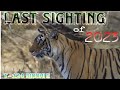 🐯LAST TIGER SIGHTING OF 2023😮 !! IN RANTHAMBHORE NATIONAL PARK 💚!! T-124 RIDDHI 💚!!