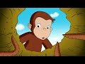 Jorge el Curioso en Español 🐵Compilación de 1 Hora  🐵 Episodio Completo 🐵 Caricaturas Para Niños