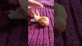 Fennec Fox For 3D Printing, Free, Link In Description