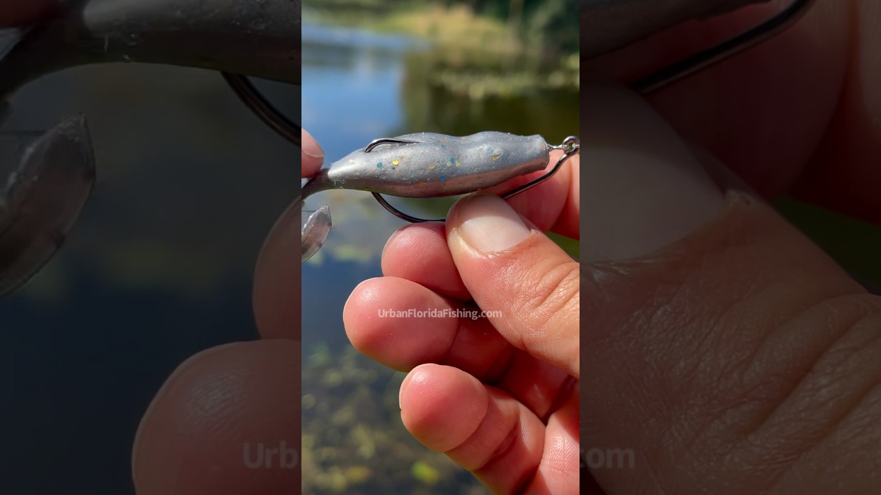 How to rig the mutant toad. The link UrbanFloridaFishing.com  #urbanfloridafishing #bassfishing 