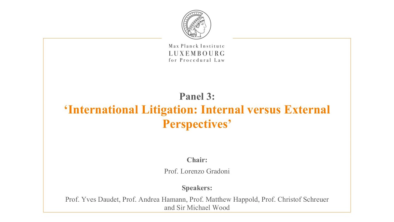 International Law and Litigation - 3 - Internal versus External Perspectives