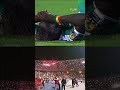 When Algeria Won Africa Cup 2019