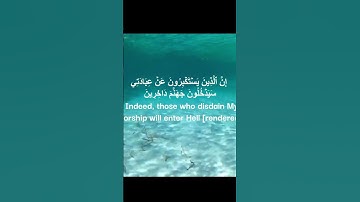 ترجمة معاني القرآن الكريم   الترجمة الإنجليزية  سورة غافر   Ghāfir _