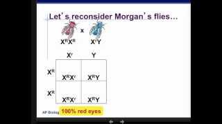 Heredity Review.mp4