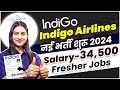 Indigo airlines    2024   indigo job vacancy april 2024  airport jobs in india