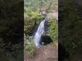 Aira Force Waterfall. Lake District. 07.09.2023