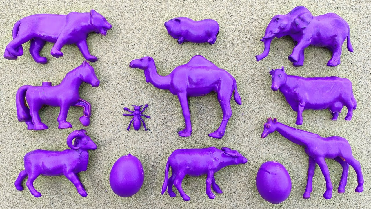 menemukan kuda semut kerbau kambing babi har1mau unta sapi telur gajah Jerapah