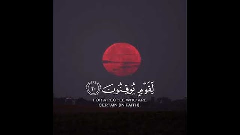 هذا بصائر للناس وهدى ورحمه لقوم يوقنون || عبدالرحمن السويد || سورة الجاثية