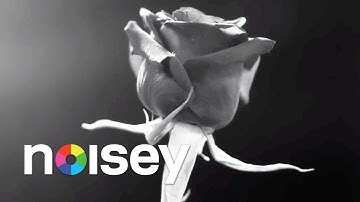 Jaymes Young - "Dark Star" (Official Video)