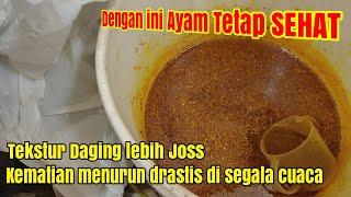 Terbukti Non Vaksin Dan Ayam Tetap Sehat  Jamu Ayam