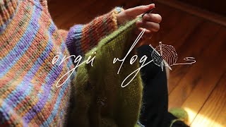 Fesleğeni Suluyorum| ikindi güneşi, örgü kazağım v baharın gelişi